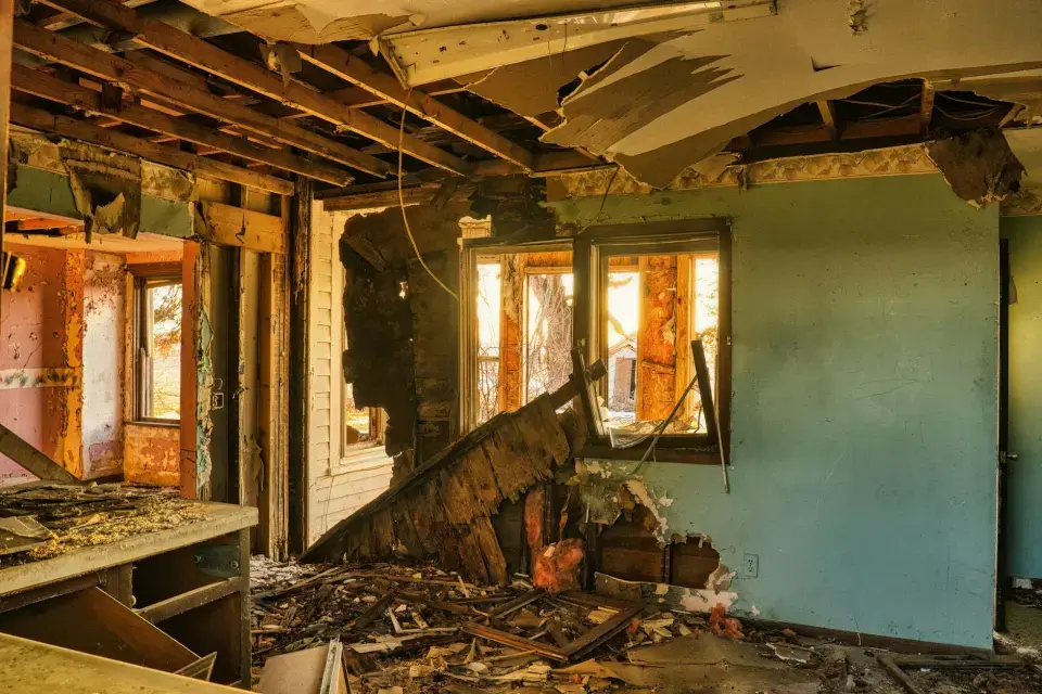 Jacksonville's Leading Mold Removal Company — Jacksonville, NC